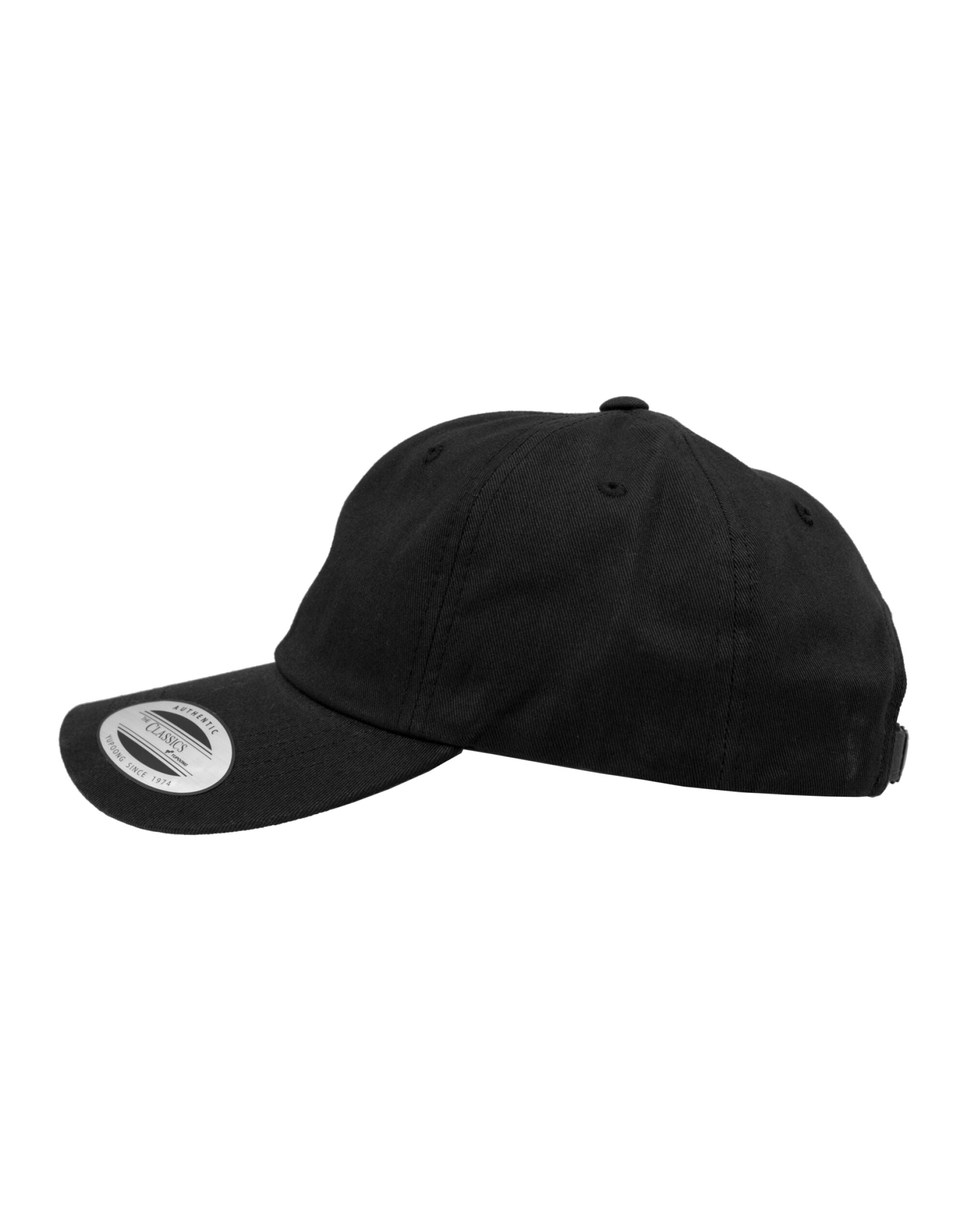 Flexfit Low Profile Cotton Twill Cap