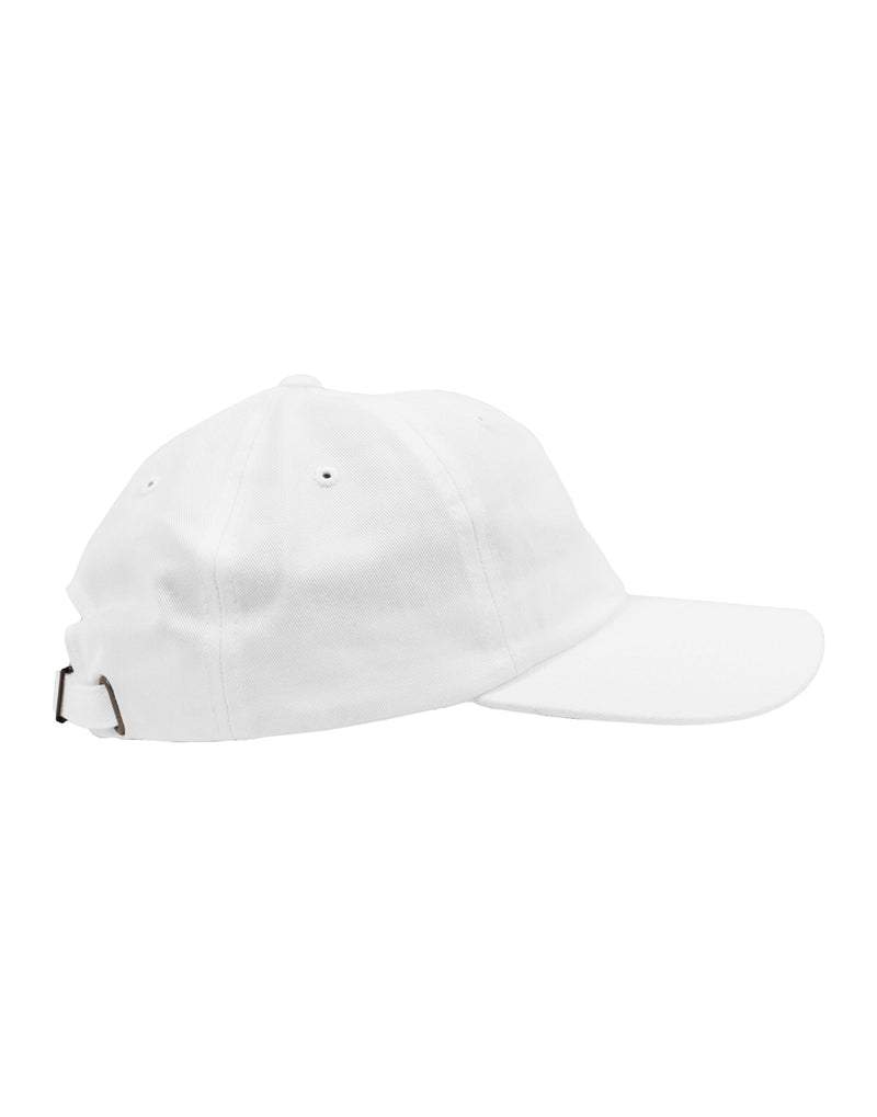 Flexfit Low Profile Cotton Twill Cap