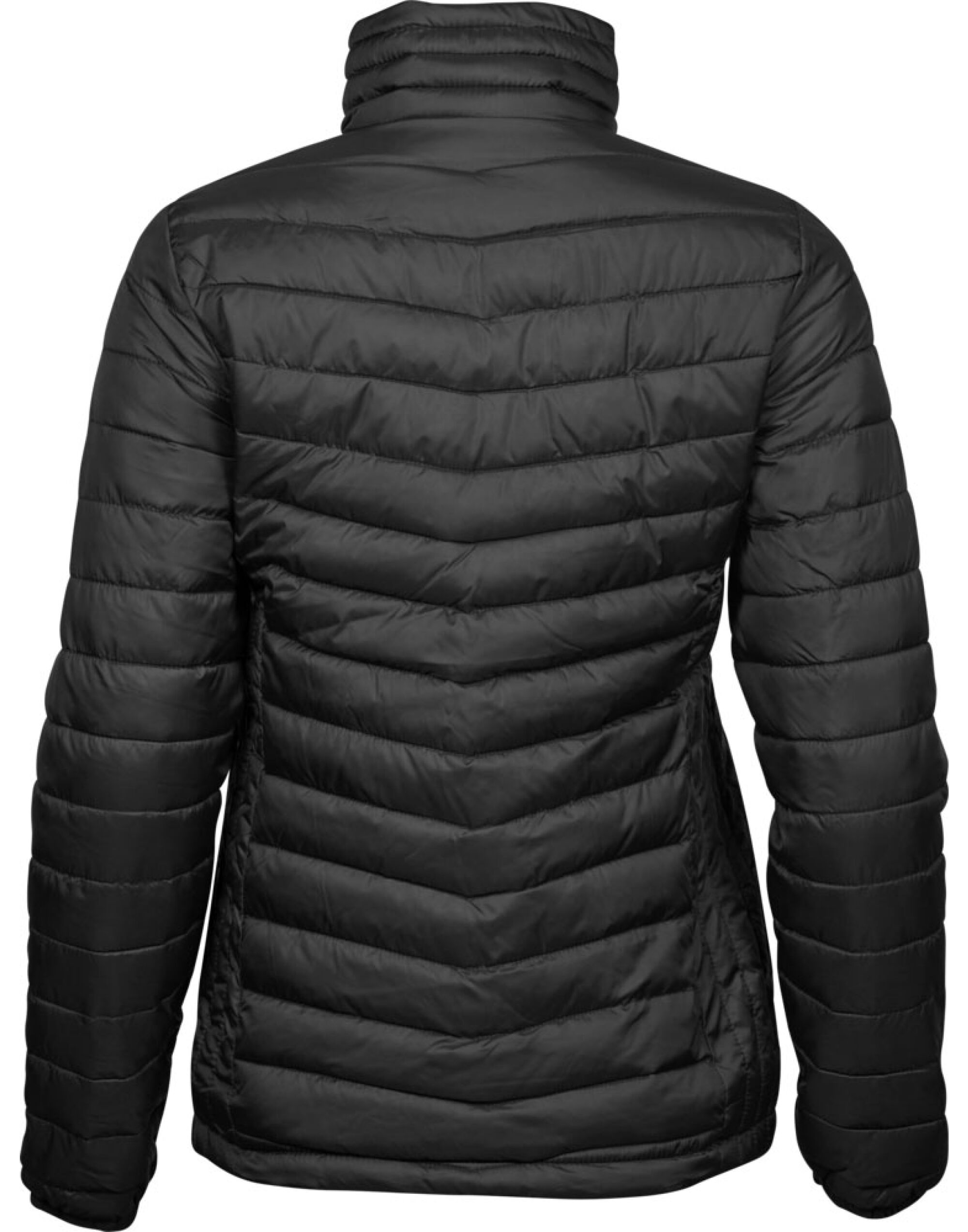 Tee Jays Ladies' Zepelin Jacket