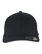 Flexfit 110 Curved Snapback