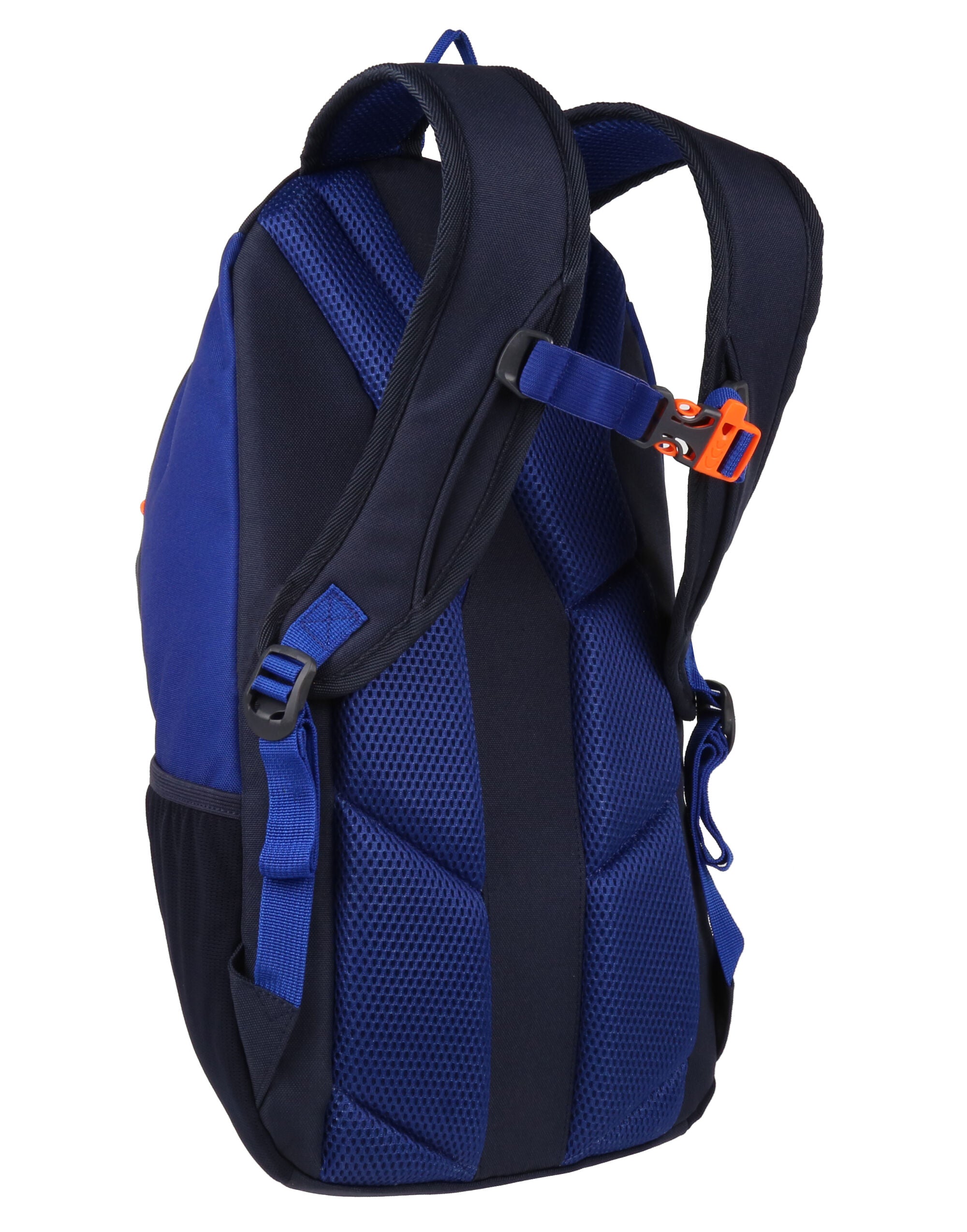 Regatta Ridgetrek 20L Backpack