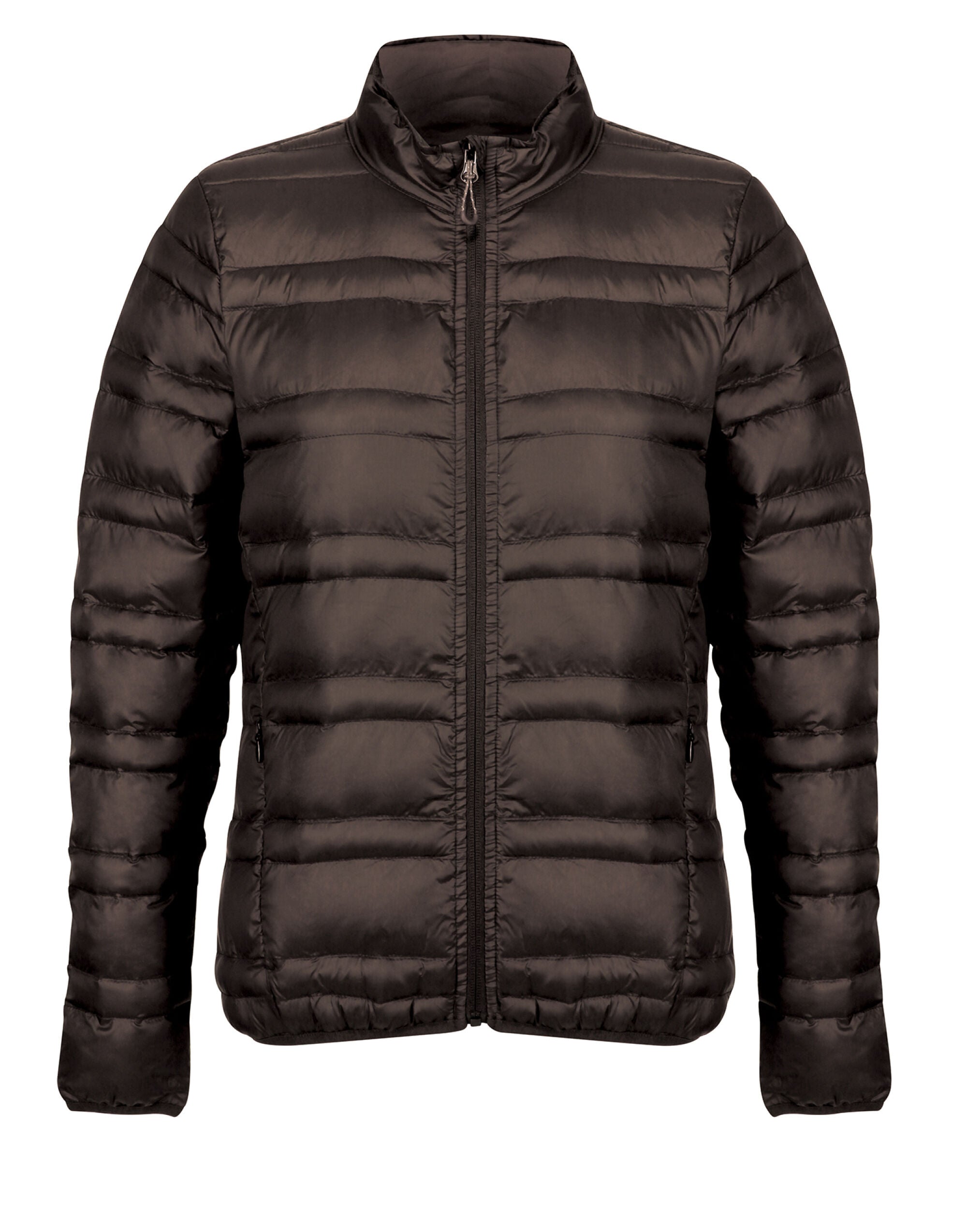 Regatta Firedown Women's Down-Touch Insulated Jacket