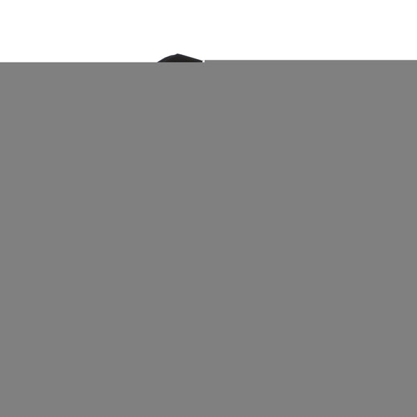 2work Swing Bin Lid 10 Litre Plastic Black 2w02396