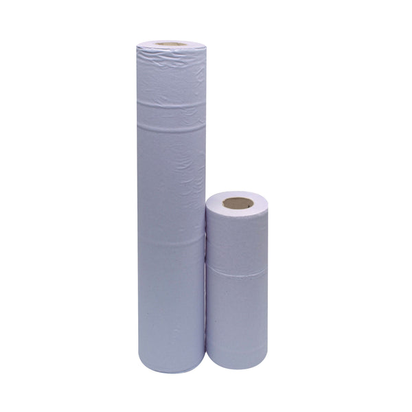2WORK Hygiene Roll 2-ply 10 Inch Blue  (Pack of 24)