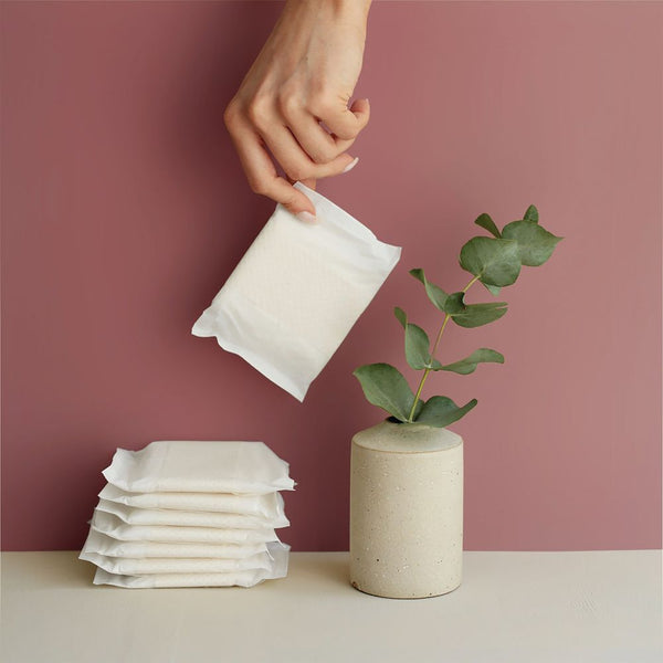 Freda Eco Pads Regular  (Pack of 180)