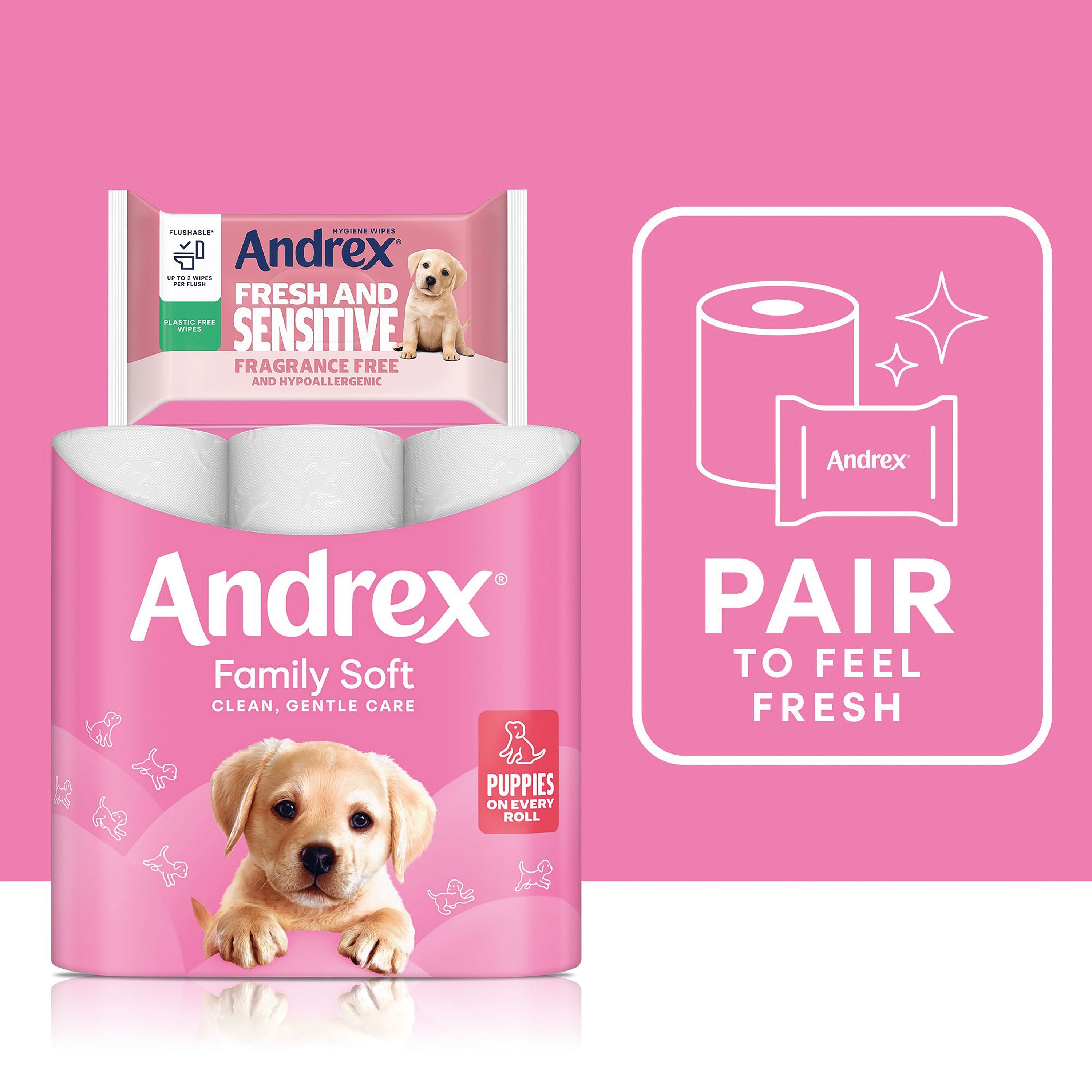 Andrex Family Toilet Roll 2-ply 170 Sheets Per Roll – (Pack of 24)