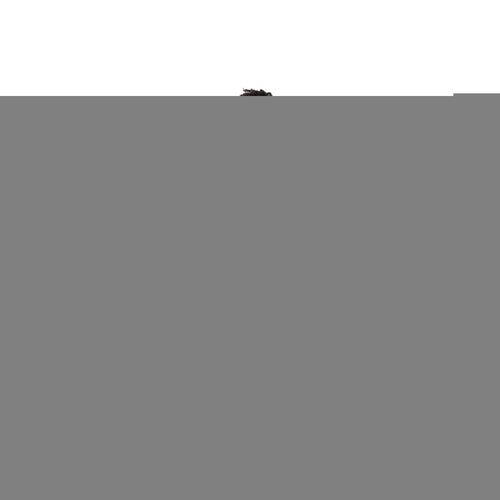 Cherokee Unisex Drawstring Scrub Trousers Wine Xl Ch4100/wine/xl