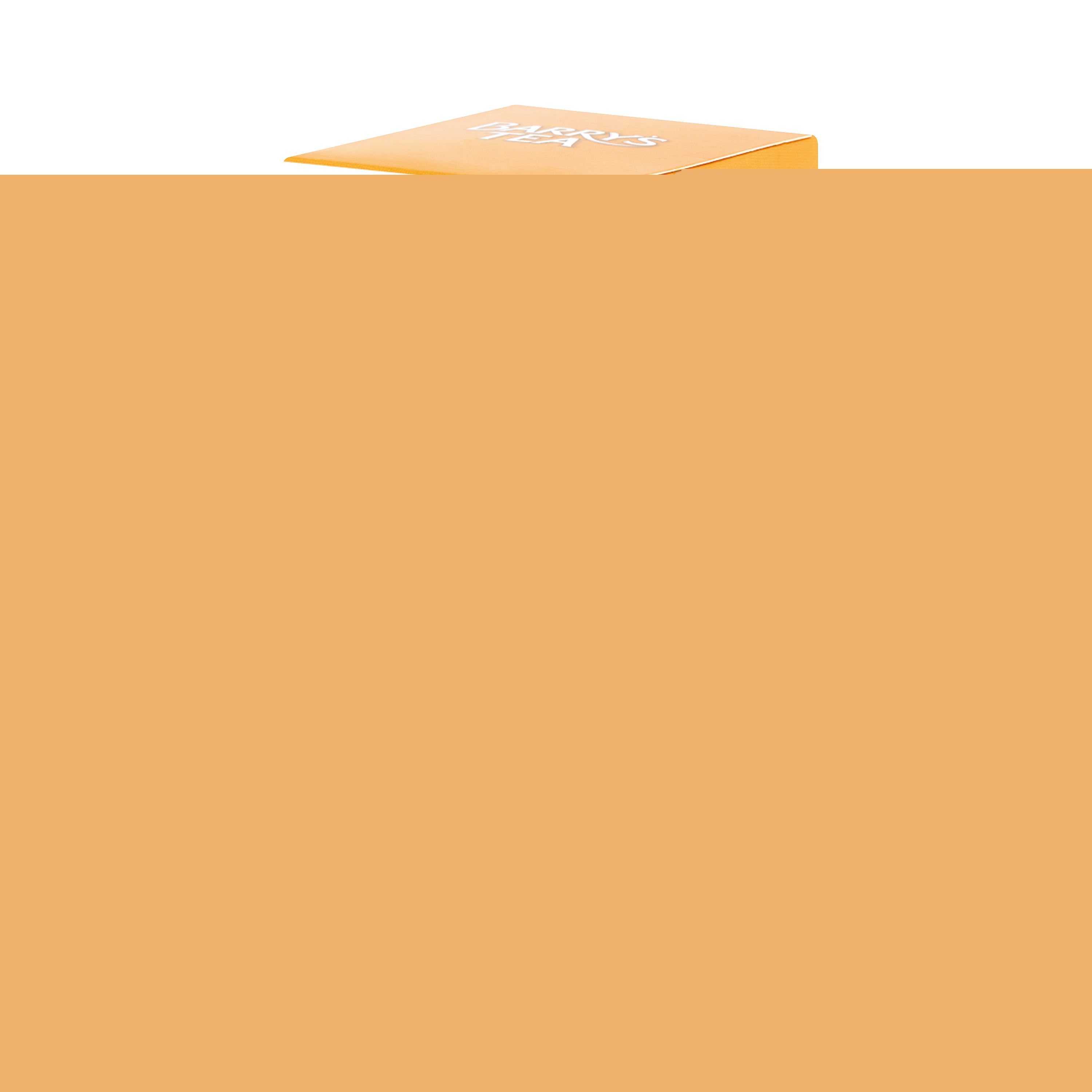 Barrys Organic Green Tea String/Tag/Envelope – (Pack of 20)