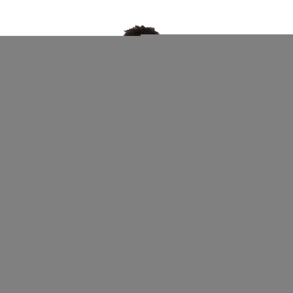 Cherokee Unisex Drawstring Scrub Trousers Pewter Xs Ch4100/pewt/xs