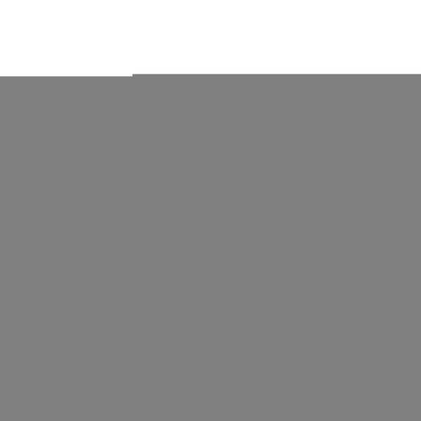 2WORK Plastic Mop Bucket With Wringer 15 Litre Red