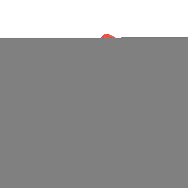 2WORK Medium Duty Refuse Sack Red  (Pack of 200)