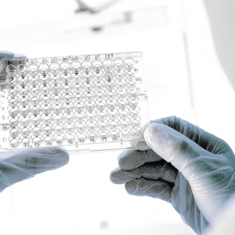 Handsafe Powder-free Vinyl Gloves Medium Clear  (Pack of 100)