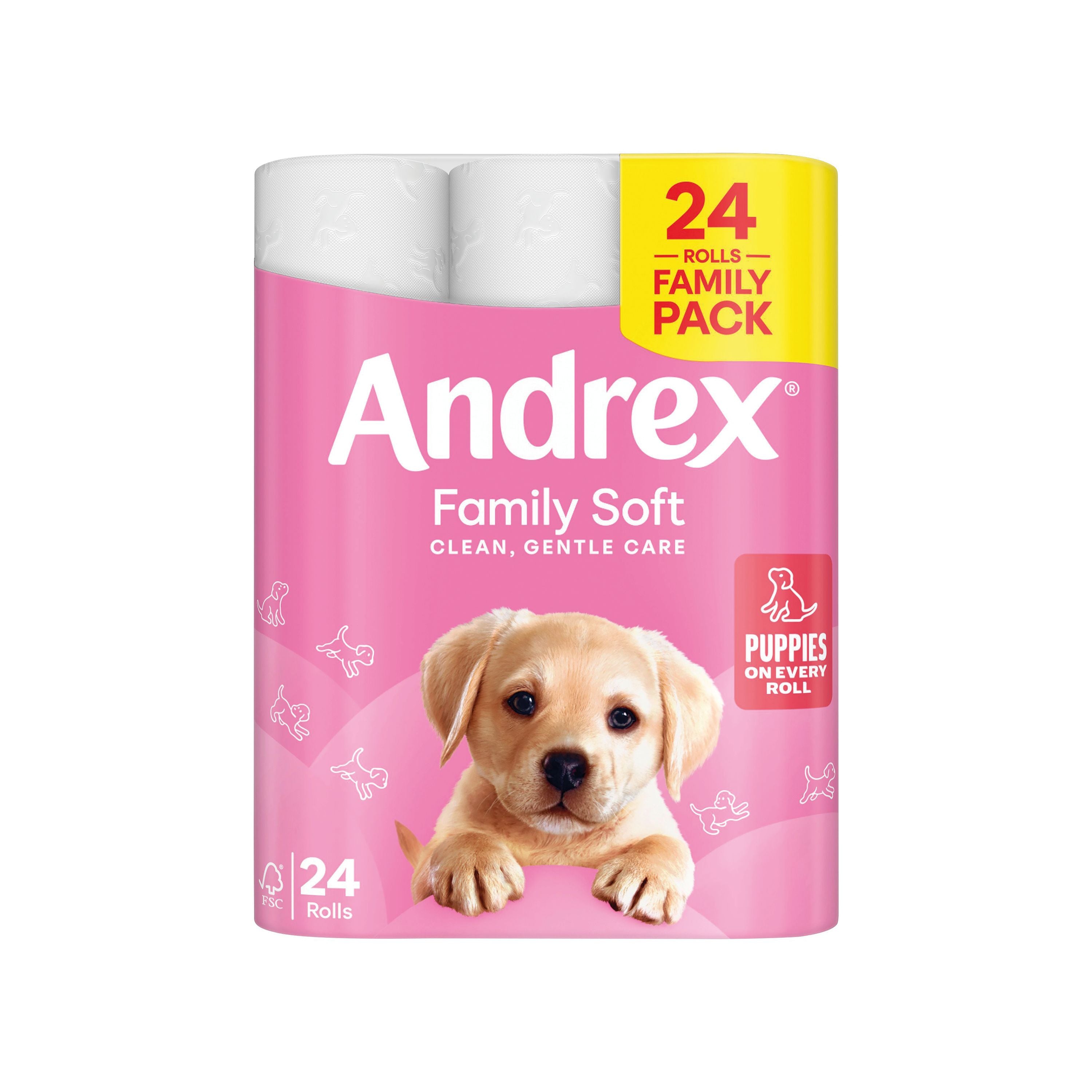 Andrex Family Toilet Roll 2-ply 170 Sheets Per Roll – (Pack of 24)