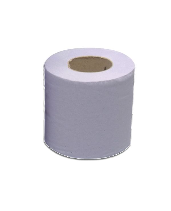 2WORK Hygiene Roll 2-ply 10 Inch Blue – (Pack of 24)