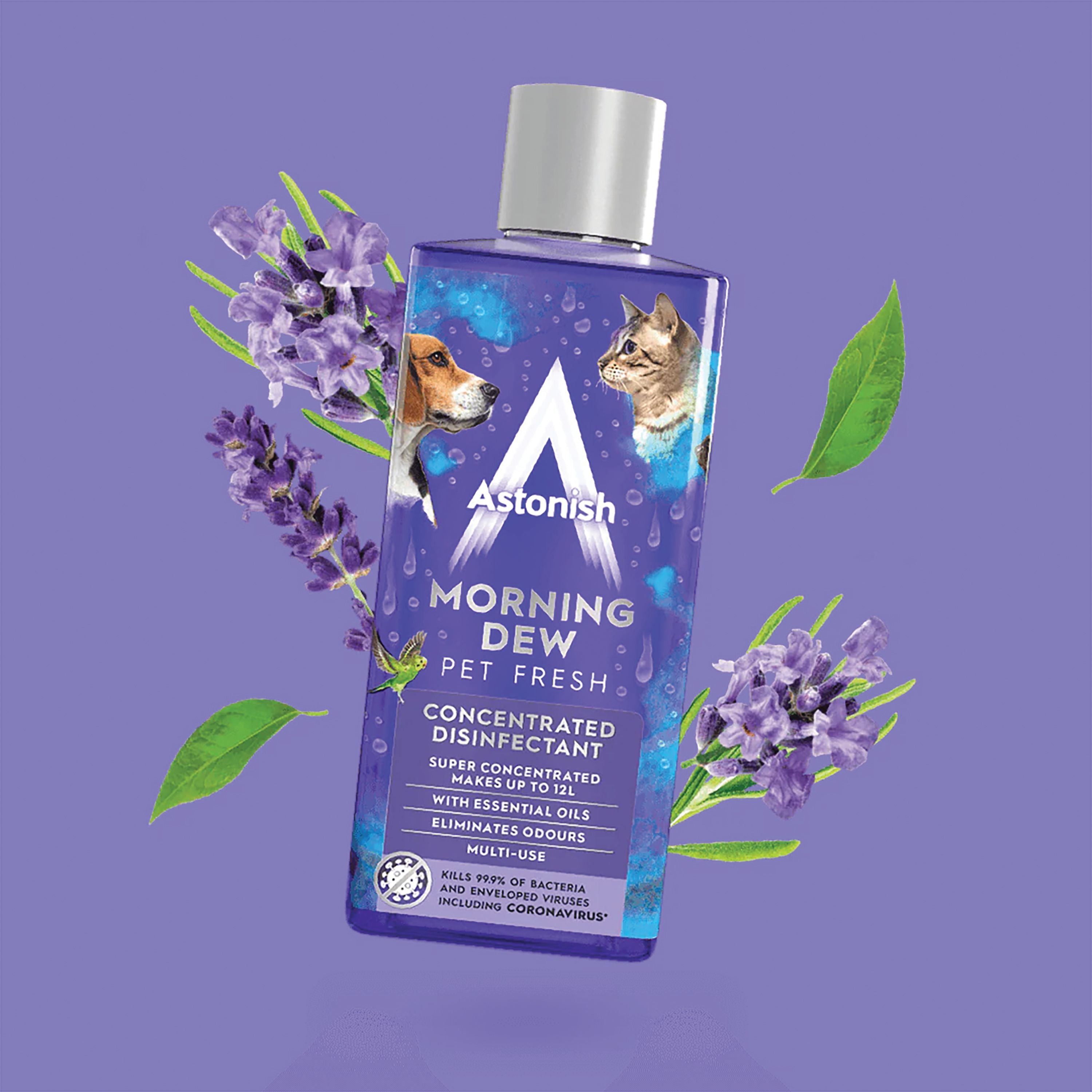 Astonish Concentrated Pet Fresh Disinfectant Morning Dew 300ml – (Pack of 12)