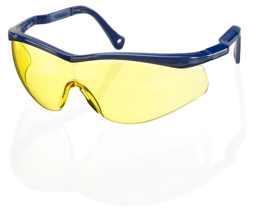 Beeswift Colorado Safety Glasses