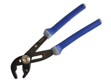 Expert Twin Slip Joint Multigrip Pliers