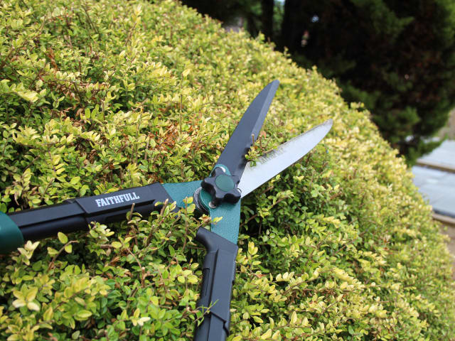 Faithfull Countryman Hedge Shear 250mm (10in)