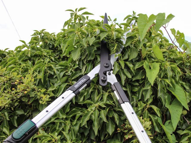 Faithfull Countryman Telescopic Hedge Shear 12in Blade