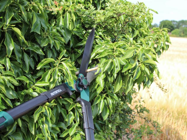 Faithfull Countryman Hedge Shear 300mm (12in)