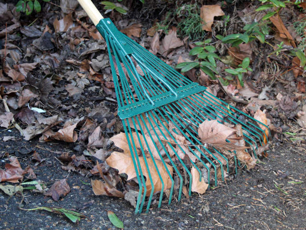 Faithfull Countryman Leaf Rake 22 Flat Tines