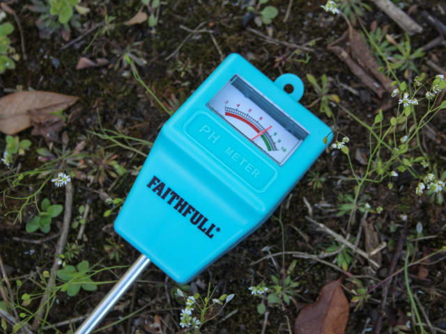 Faithfull pH Meter 200mm Long Probe