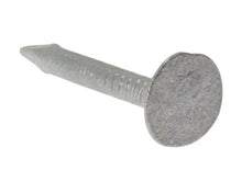 ForgeFix Clout Nails, Extra Large Head, Galvanised