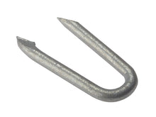 ForgeFix Netting Staples, Galvanised